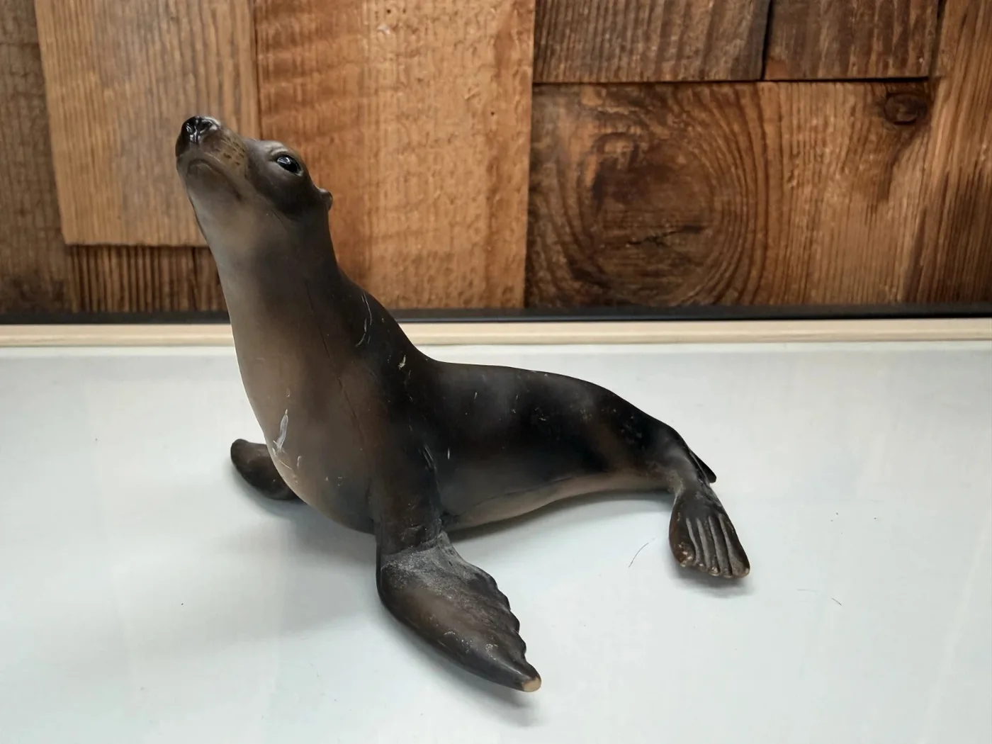 Schleich Zeeleeuw