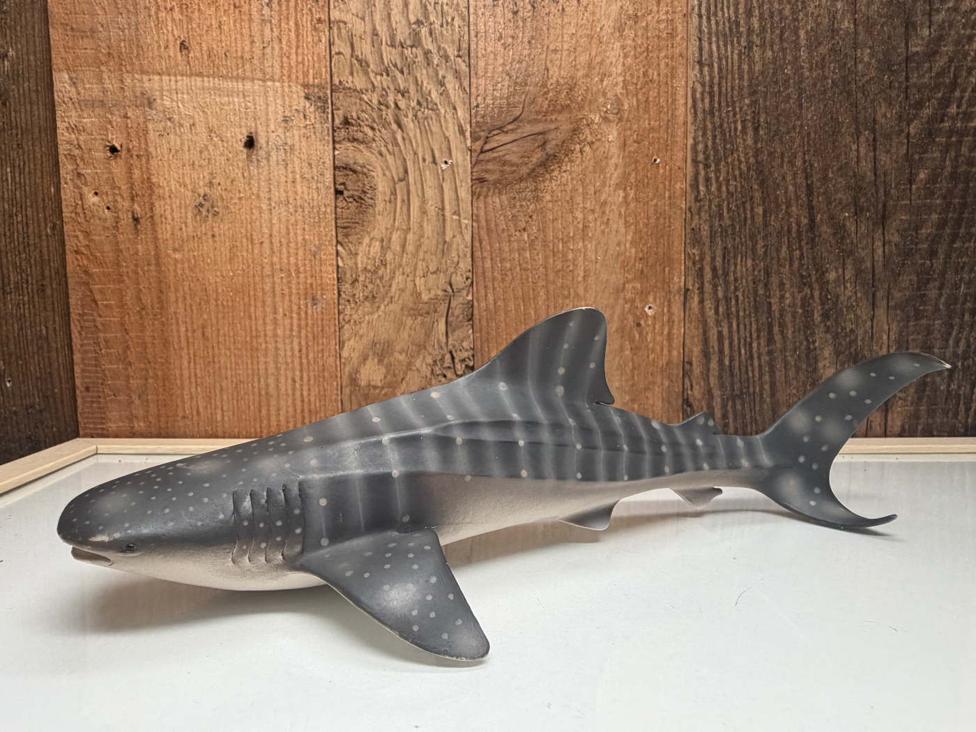 CollectA Wild Life Walvishaai XXL (88453)