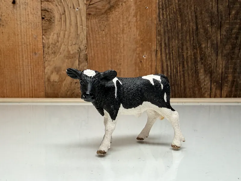 Schleich Farm World Holstein Kalf (13798)