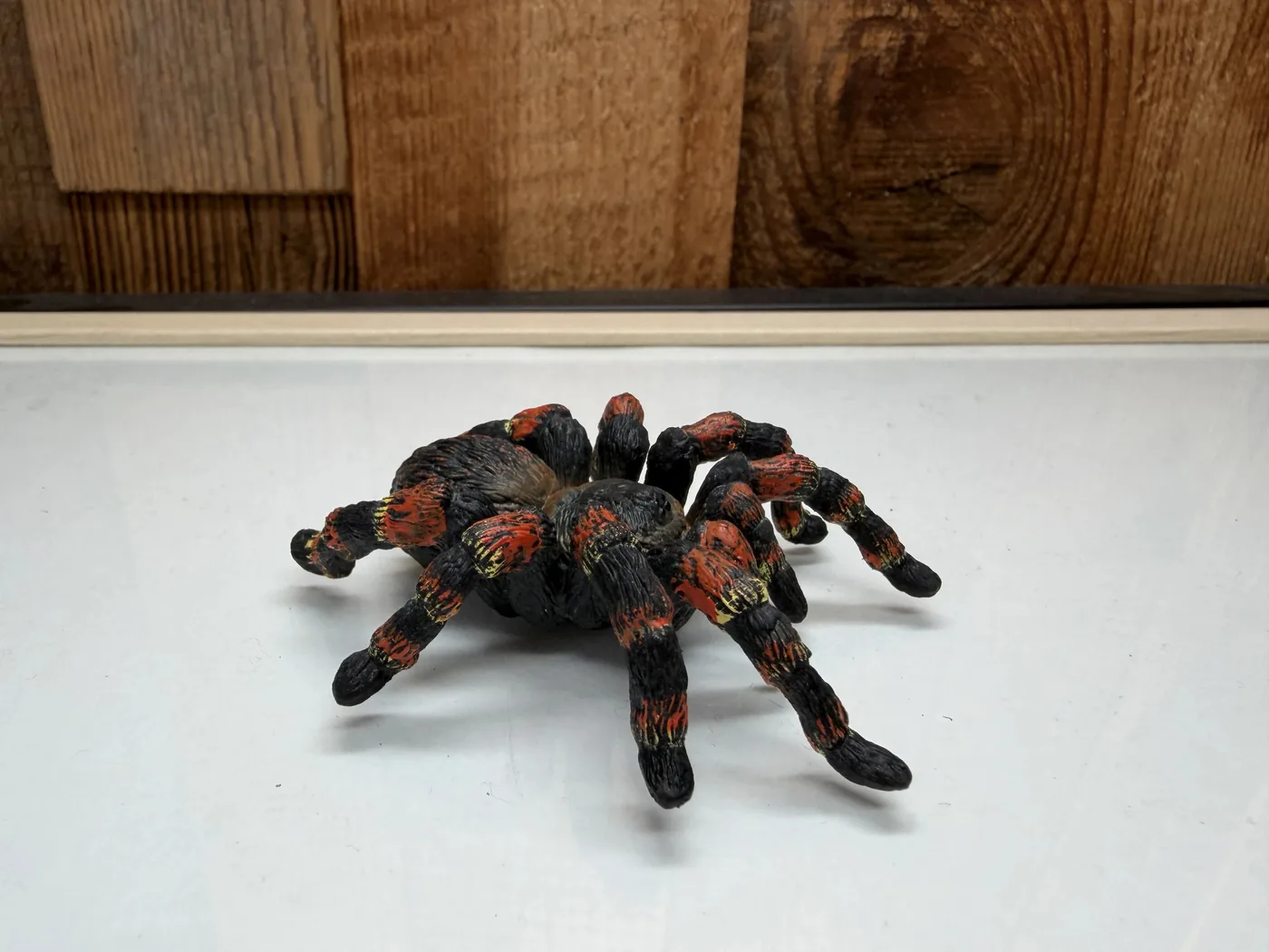 Schleich Wild Life Taratula (14829)