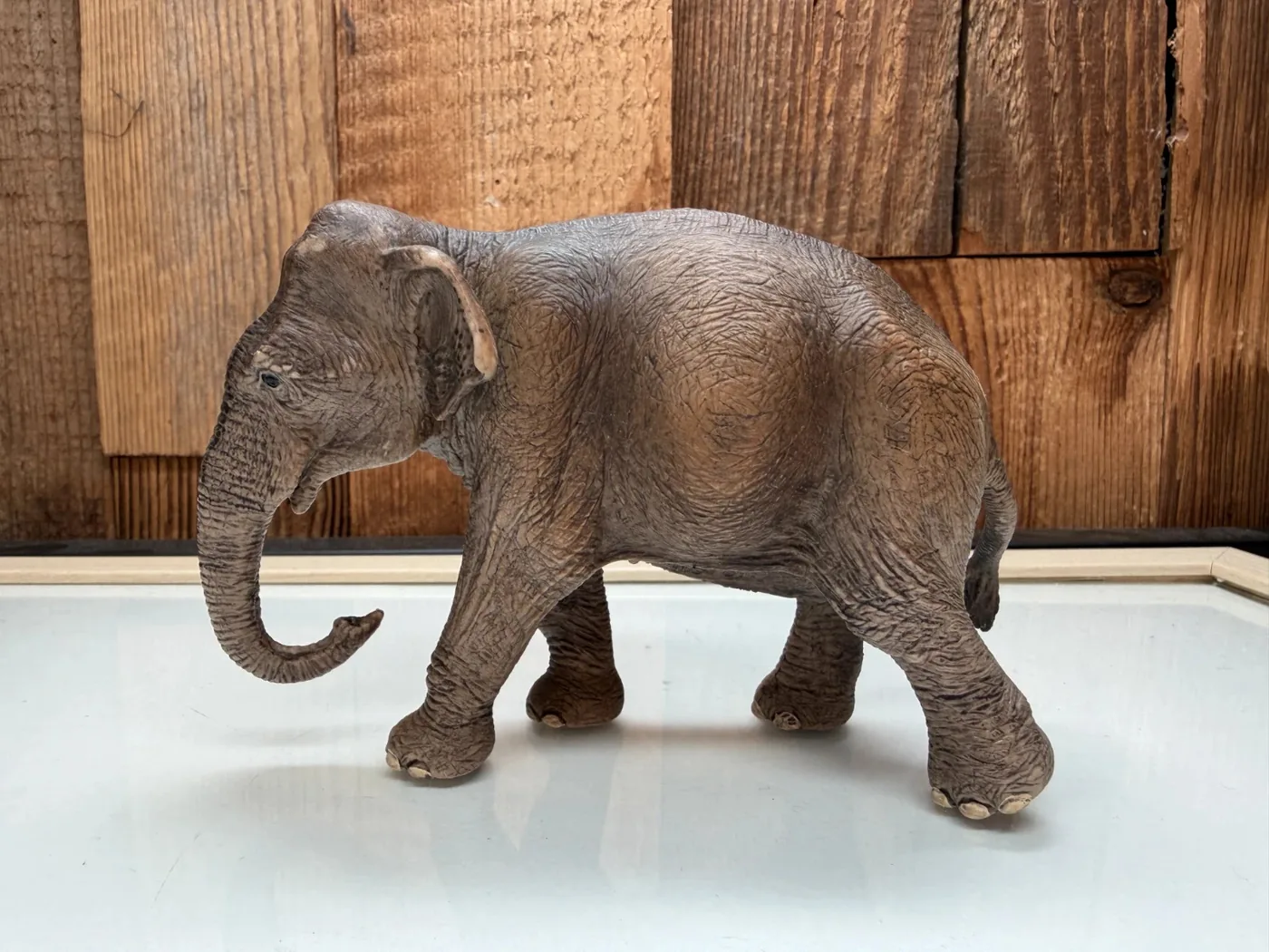 Schleich Aziatische Olifant Vrouwtje