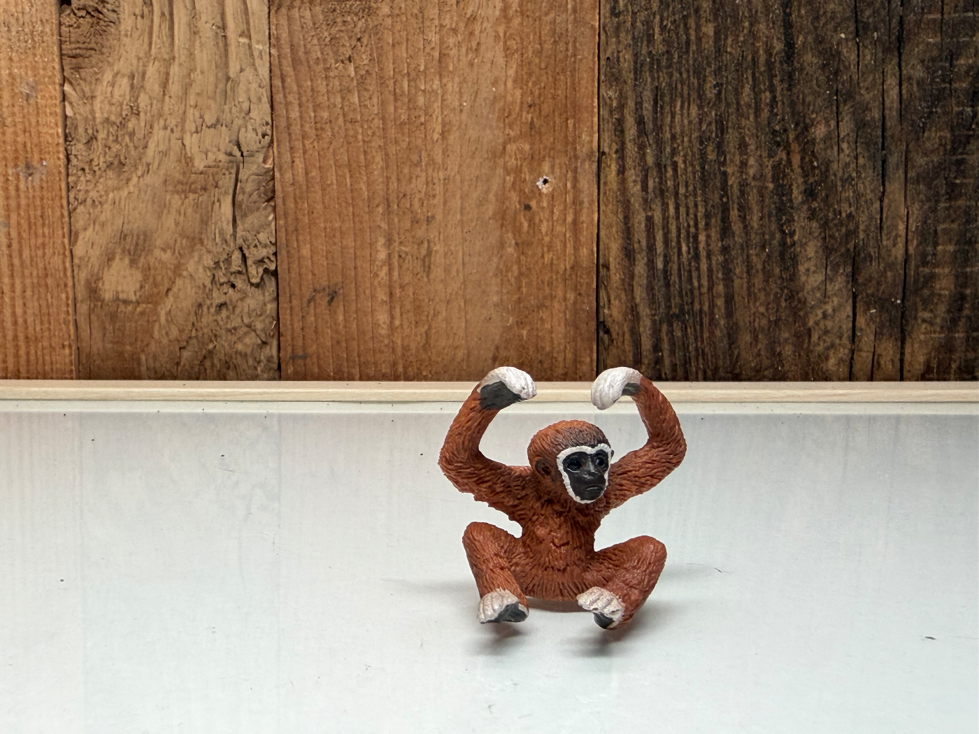 Schleich Wild Life Jonge Gibbon Zeldzaam (14718)