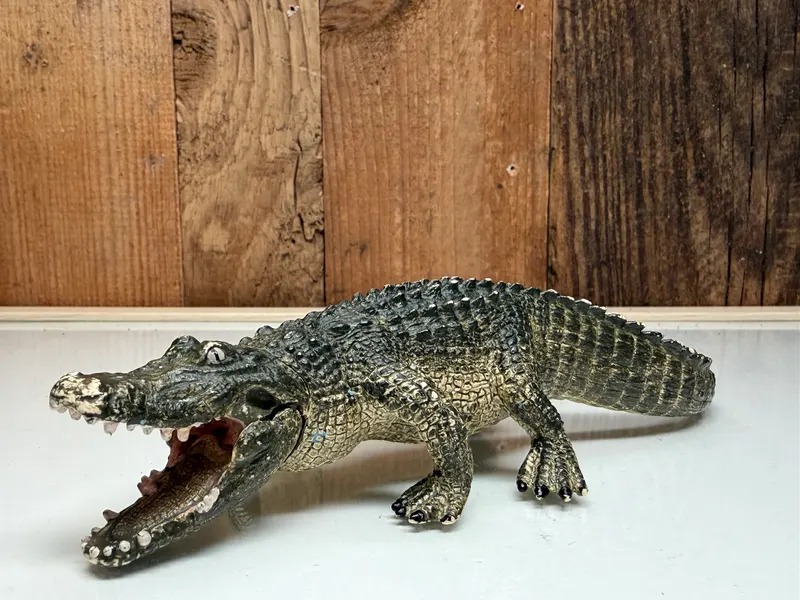 Schleich Wild Life Alligator (14727)