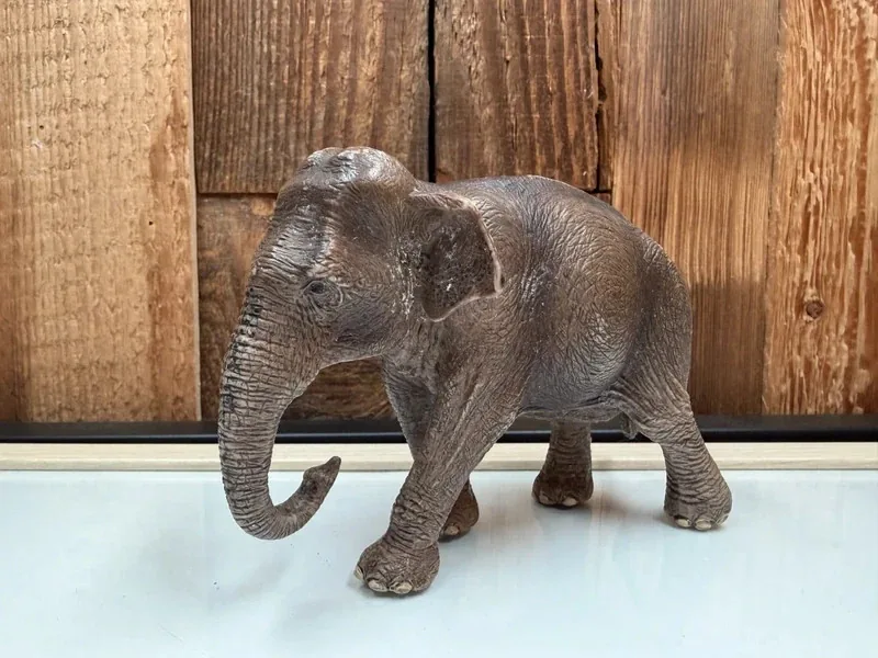 Schleich Aziatische Olifant Vrouwtje