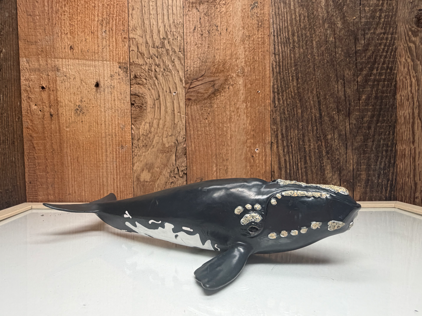 Schleich Wild Life Noordkaper Extreme Rare (14558)
