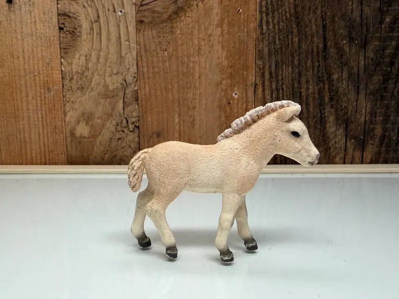 Schleich Horse Club Fjord Veulen (13755)