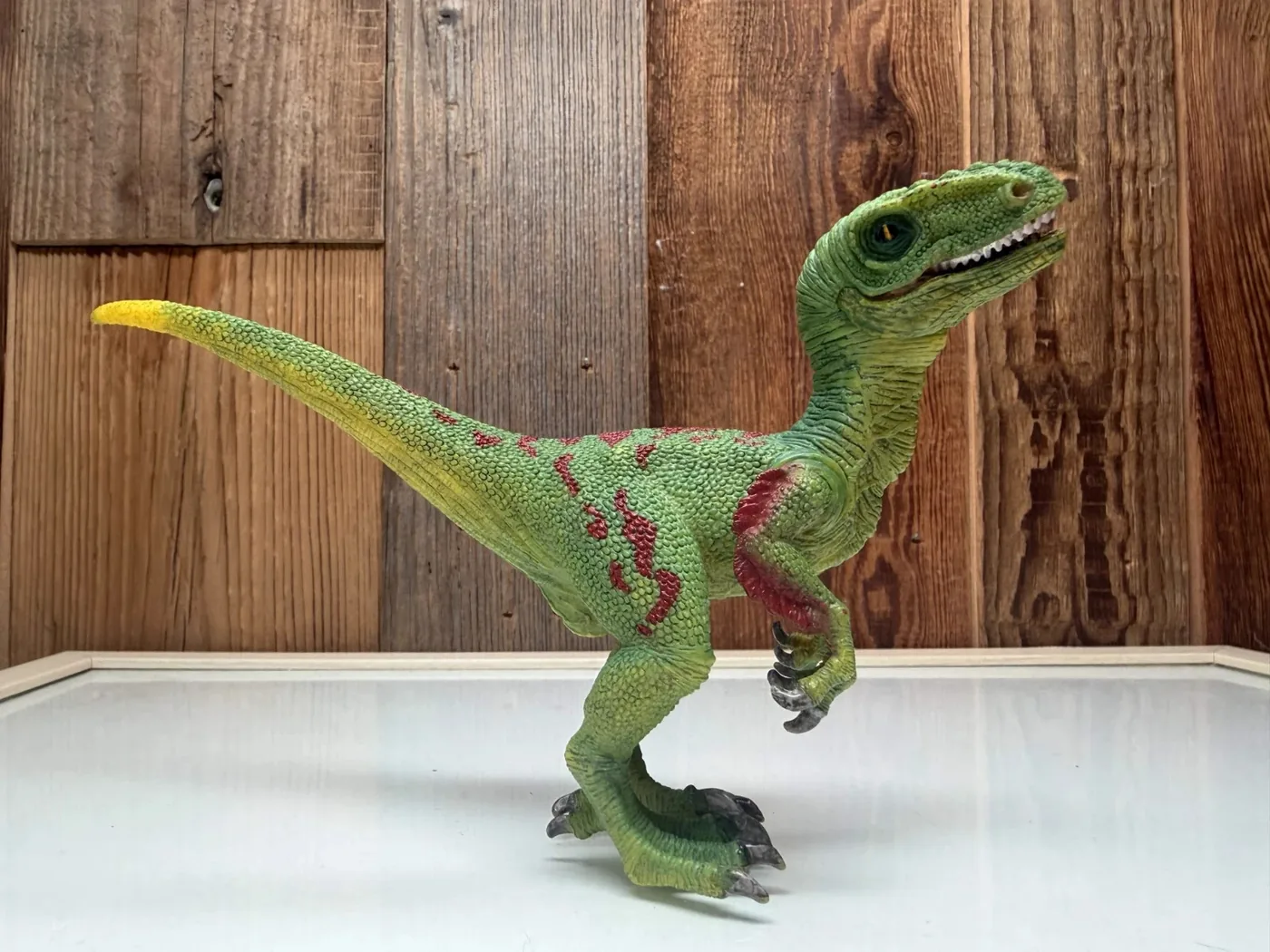 Schleich Dinosaurs Velociraptor Groen (14530)