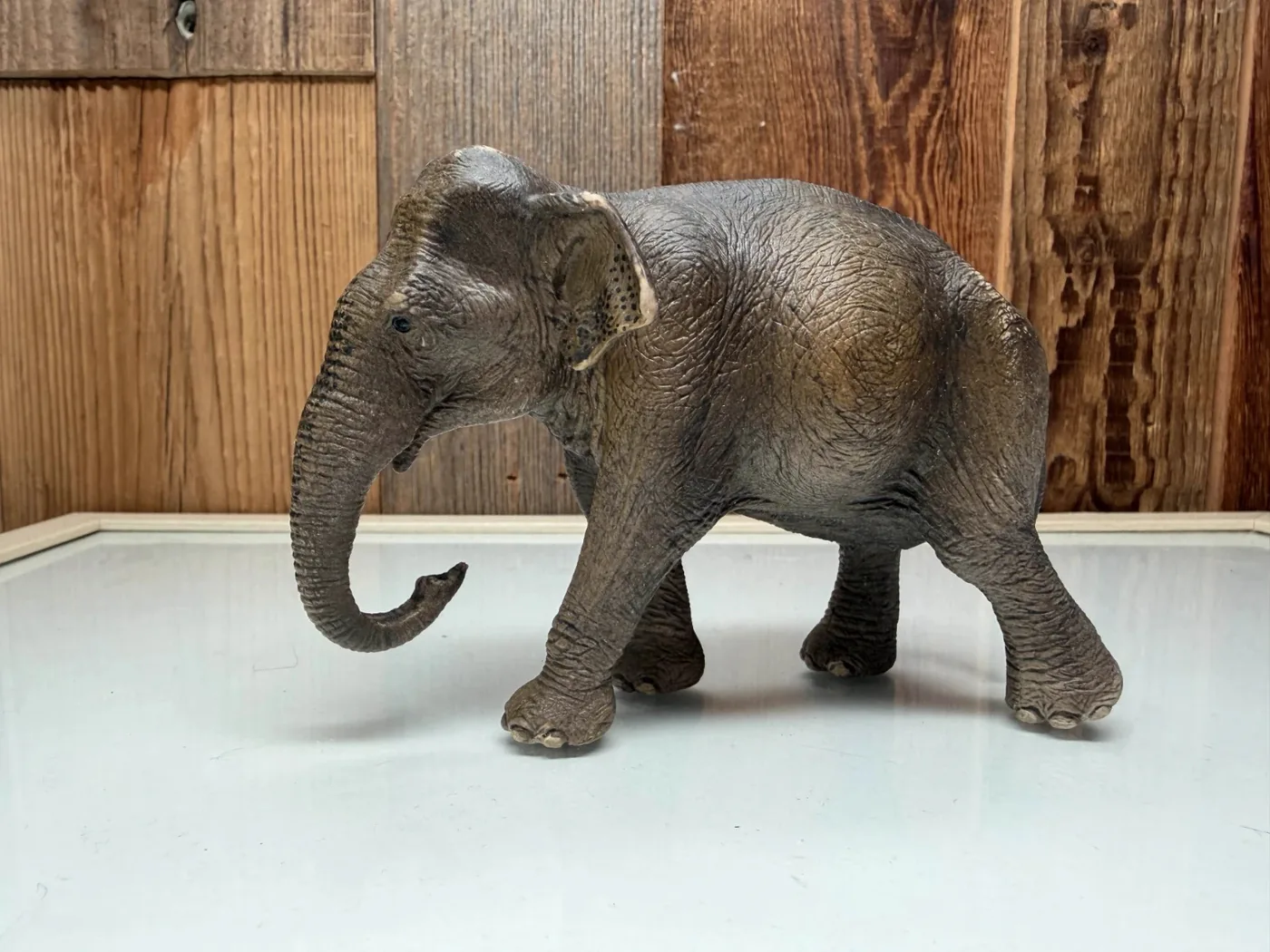 Schleich Aziatische Olifant Vrouwtje