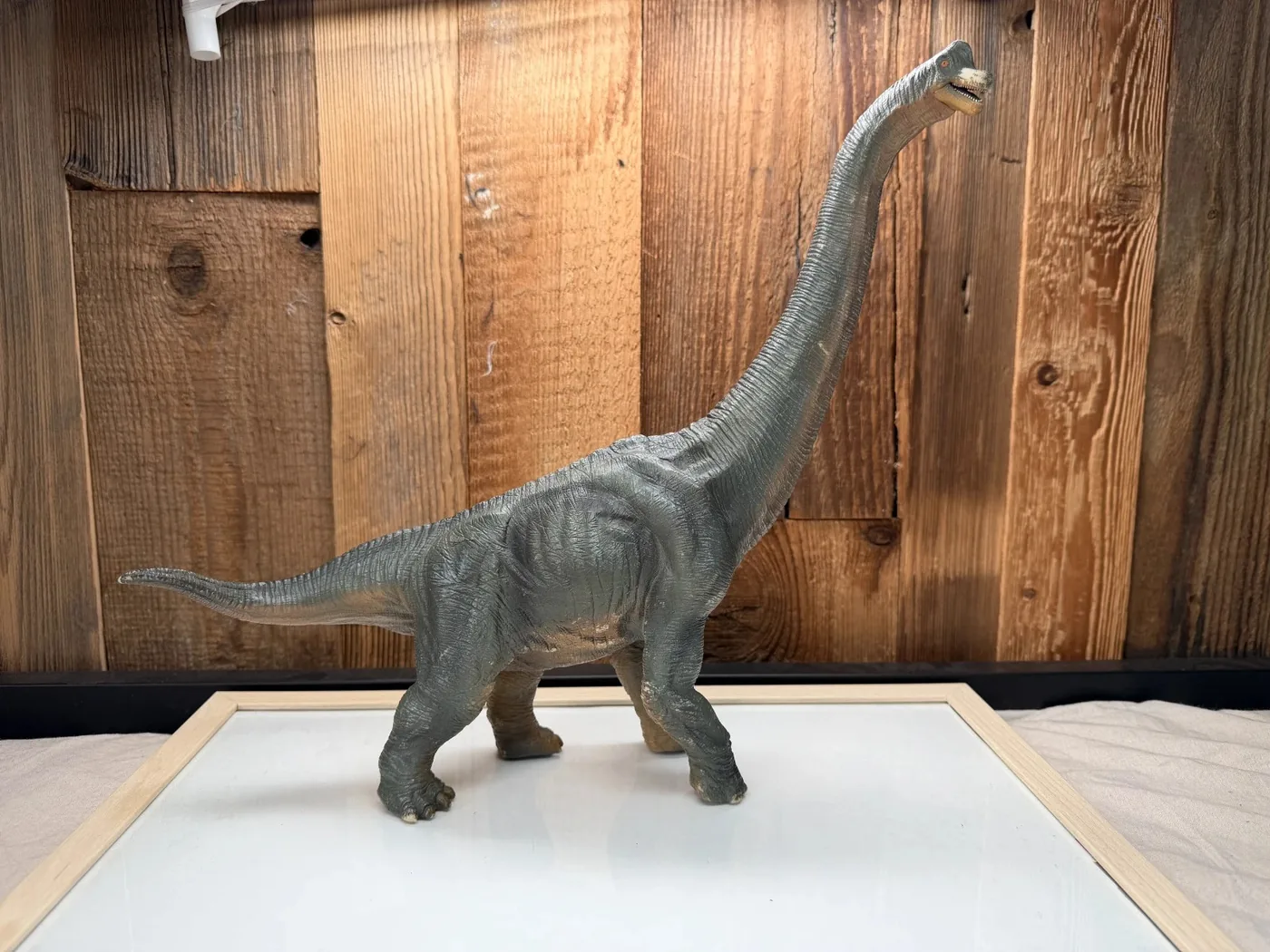 Papo Dinosaurs Brachiosaurus XXL Extra Groot (55030)