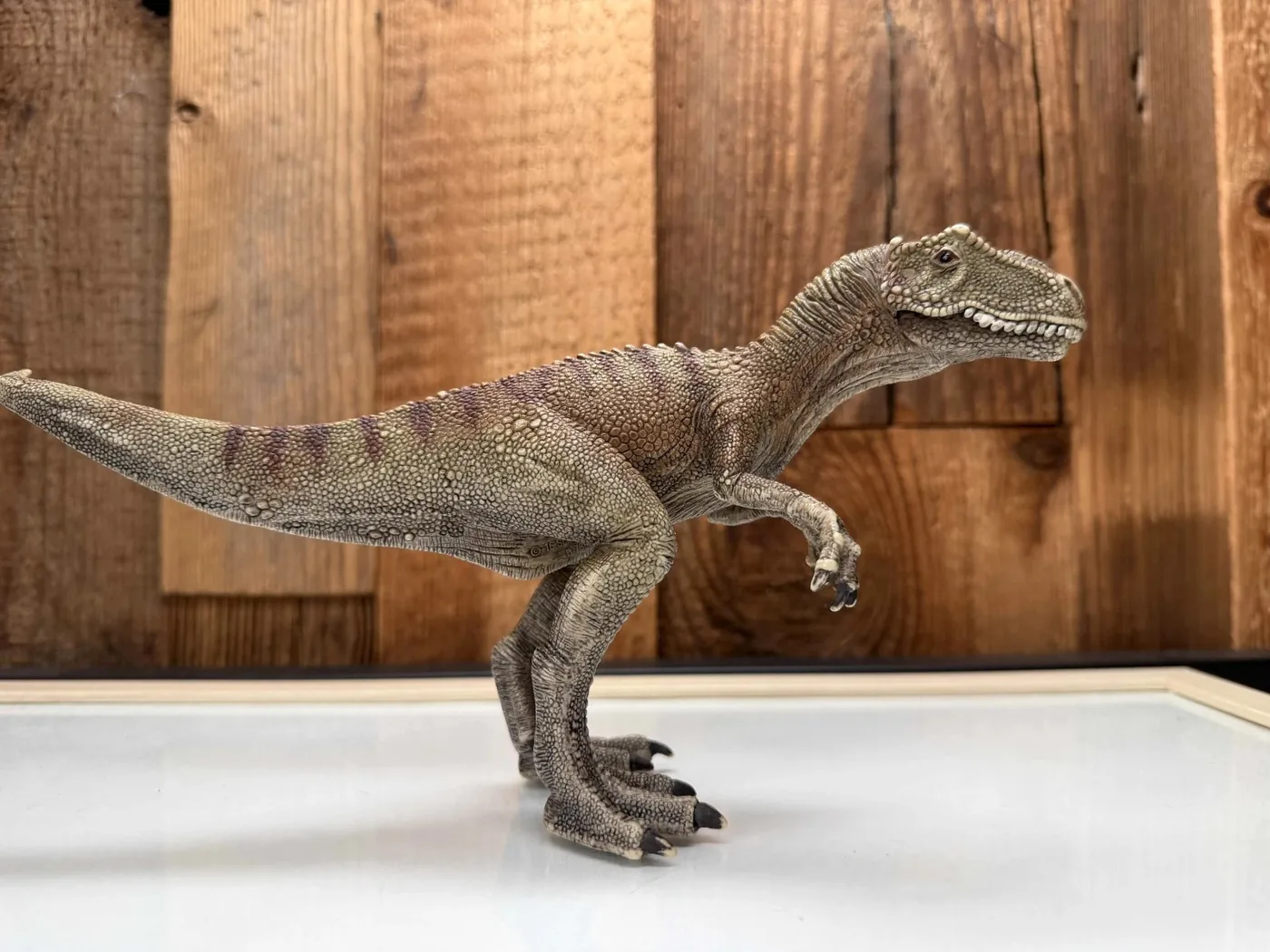 Schleich Allosaurus