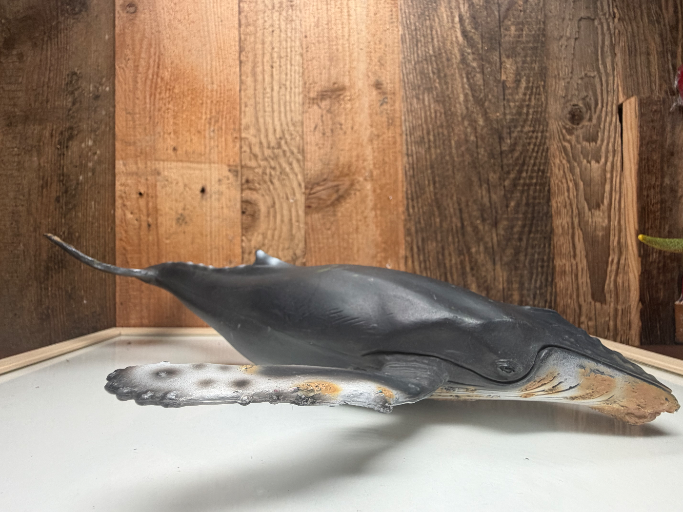 Schleich Wild Life Bultrug Walvis XXXL Extreme Rare (16083)