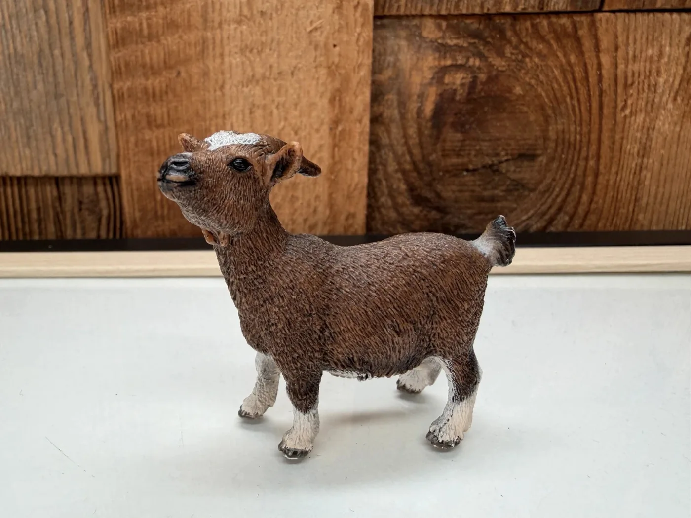 Schleich Farm World Dwerggeit (13715)