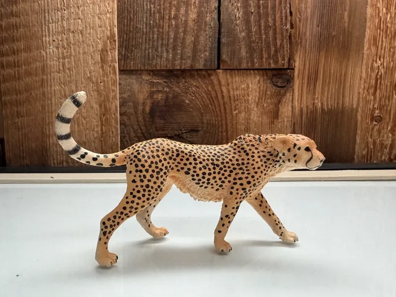 Schleich Cheetah
