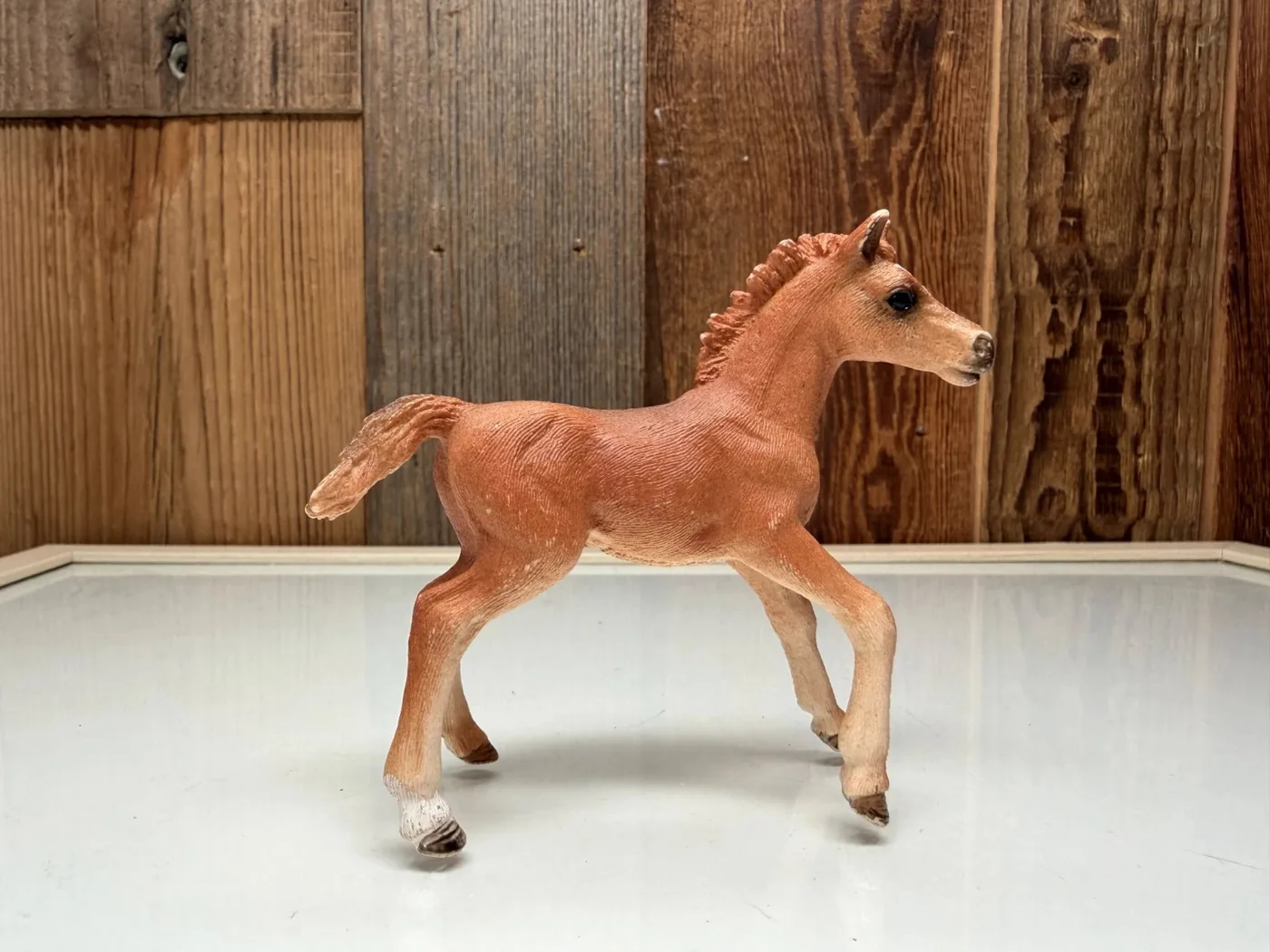 Schleich Horse Club Engels Volbloed Veulen (42361)