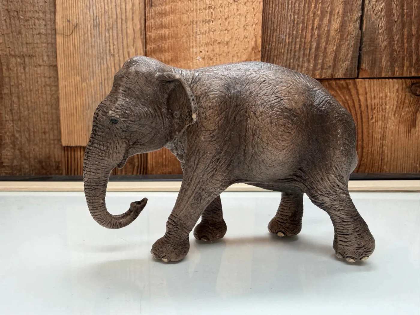 Schleich Aziatische Olifant Vrouwtje