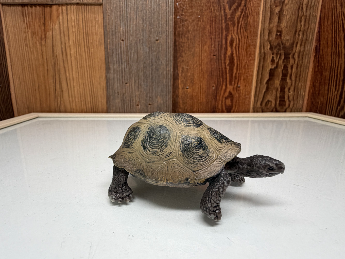 Schleich Reuzenschildpad