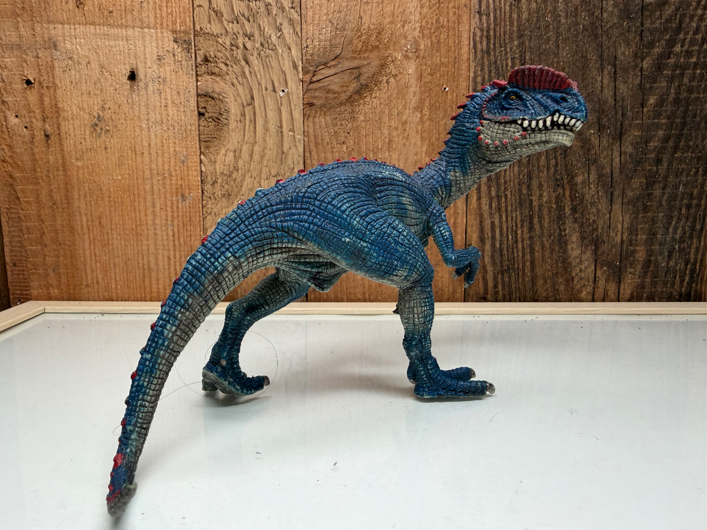 Schleich Dinosaurs Dilophosaurus (14567)