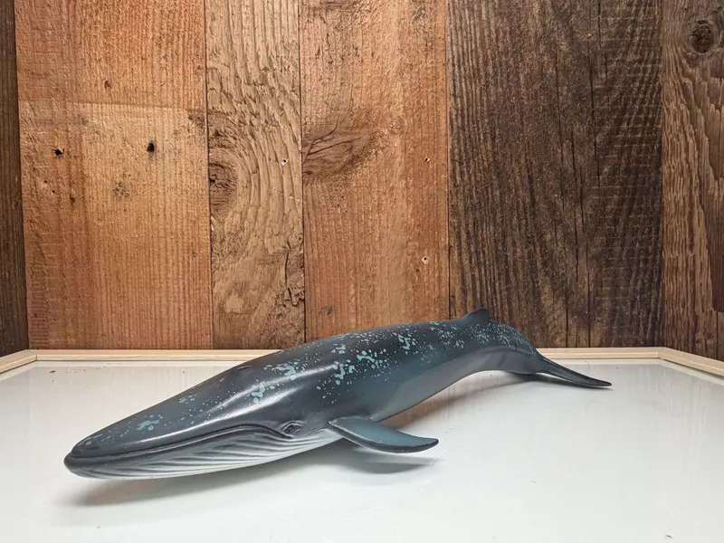 Schleich Blauwe Vinvis
