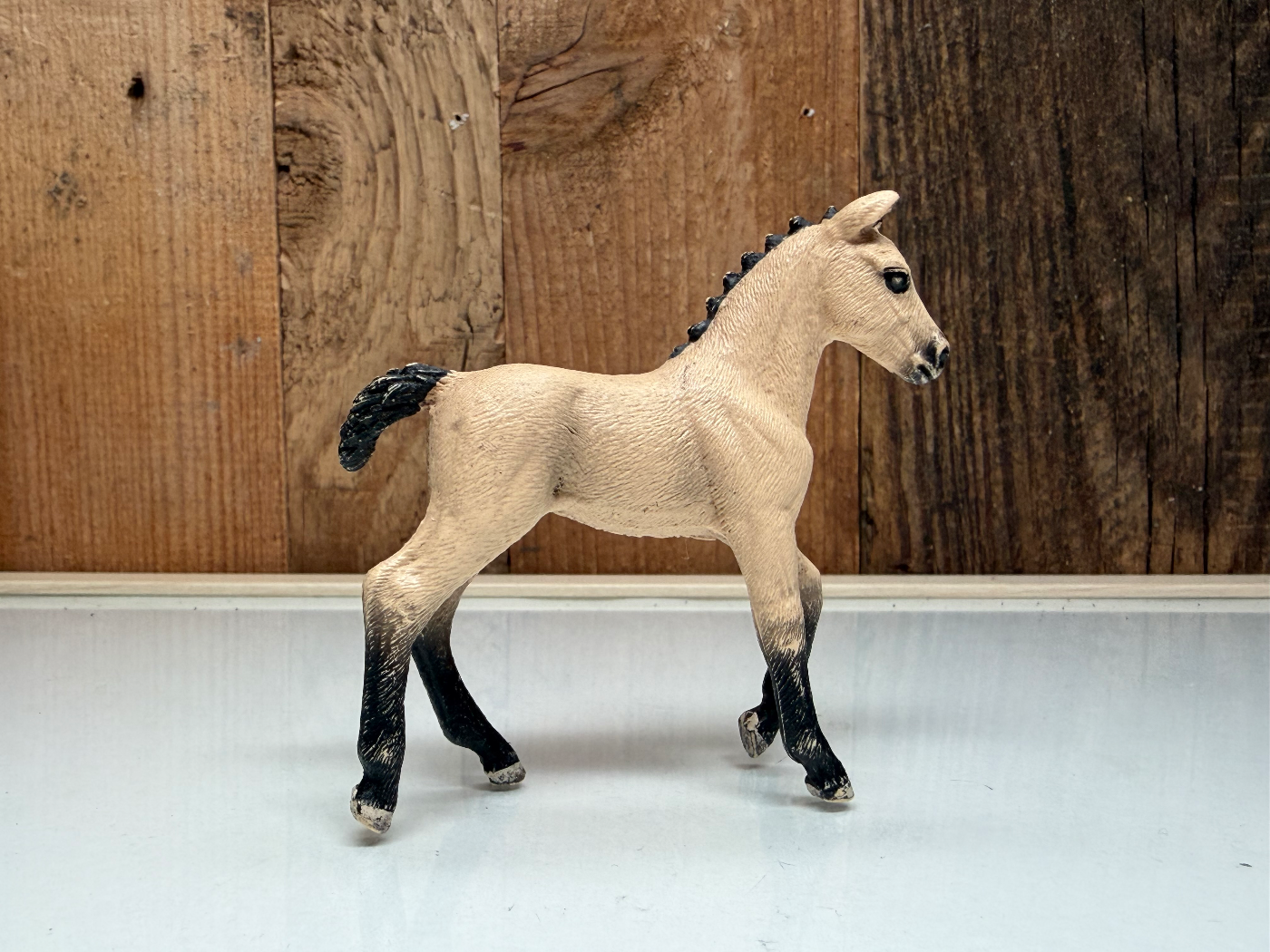Schleich Horse Club Hannover Veulen (13929)