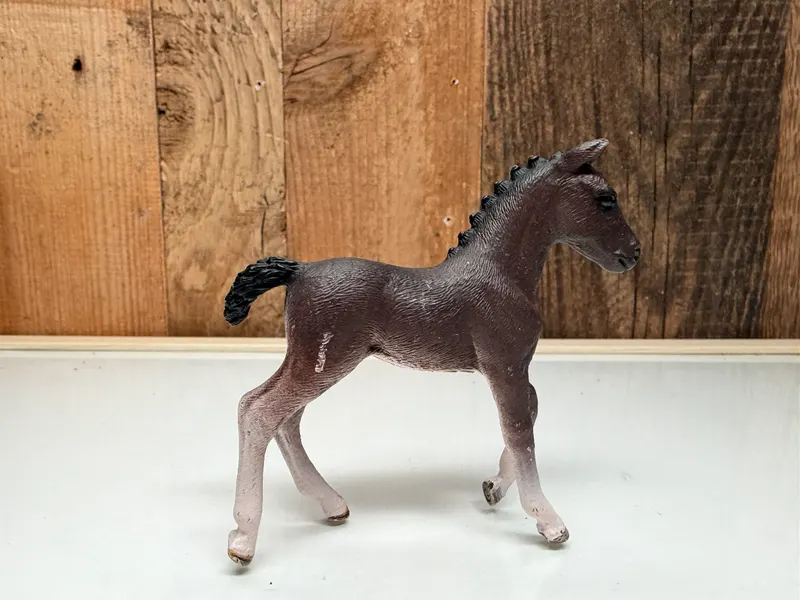 Schleich Selle Francais Veulen
