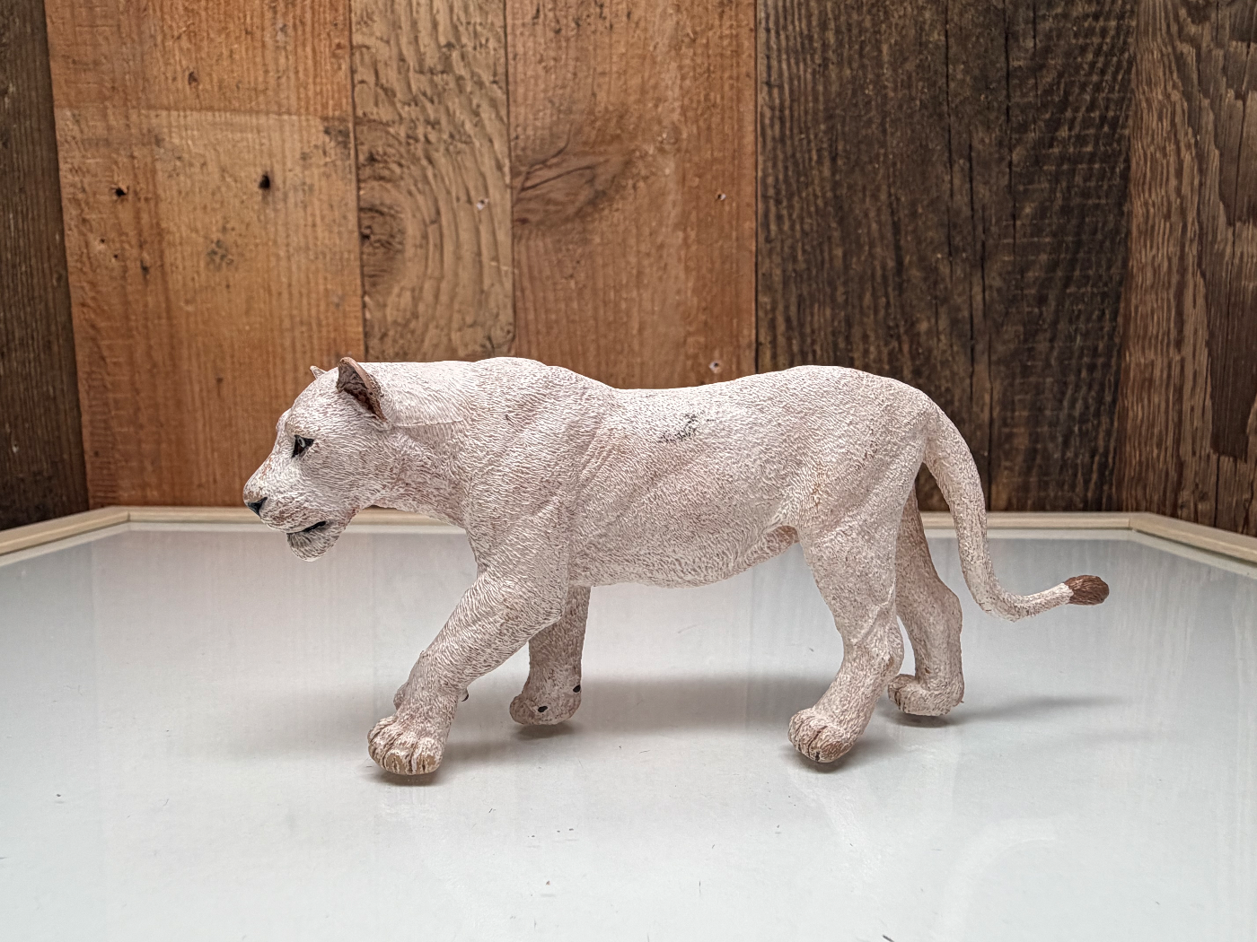 Papo Wild Life Witte Leeuwin (50075)
