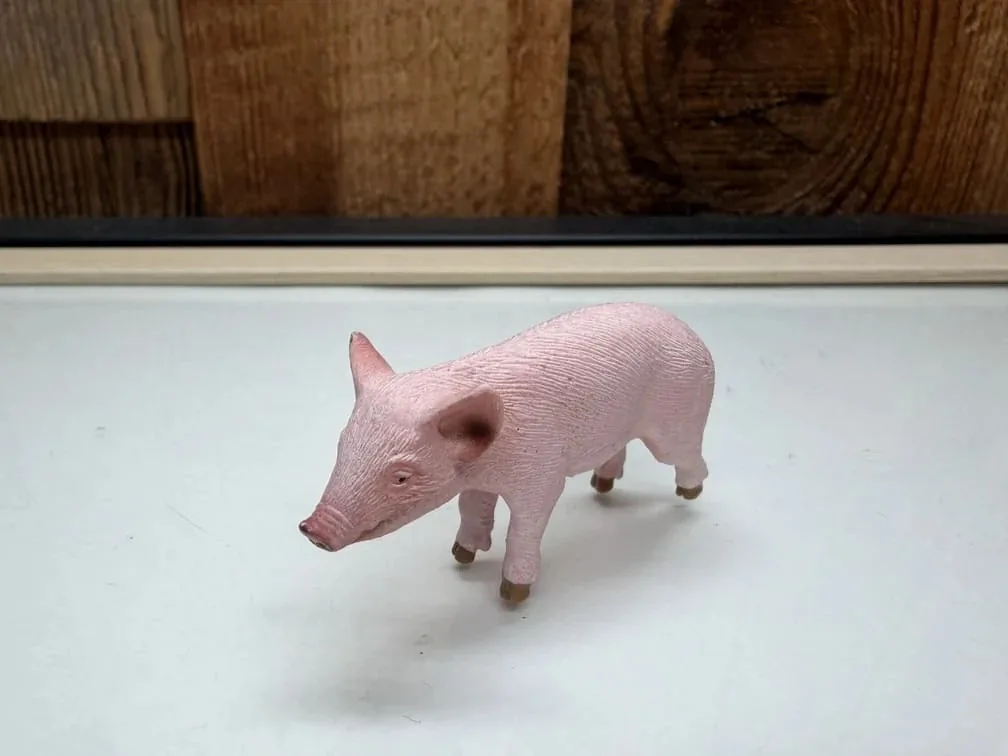 Schleich Farm World Biggetje (13289)