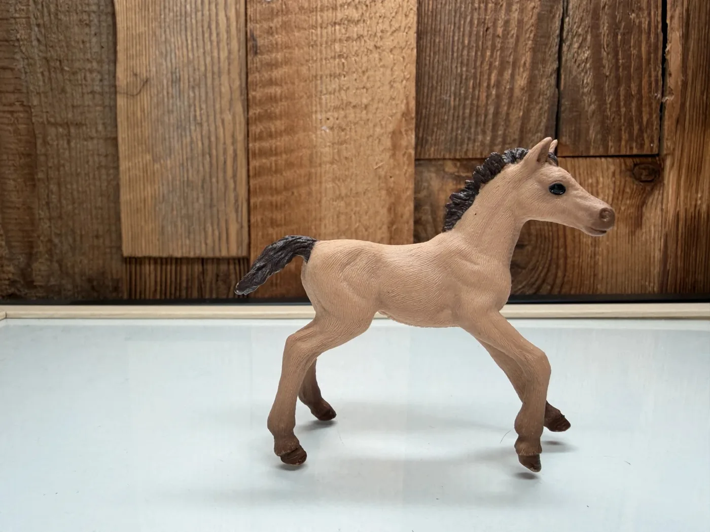 Schleich Horse Club Criollo Definitivo Veulen (13949)