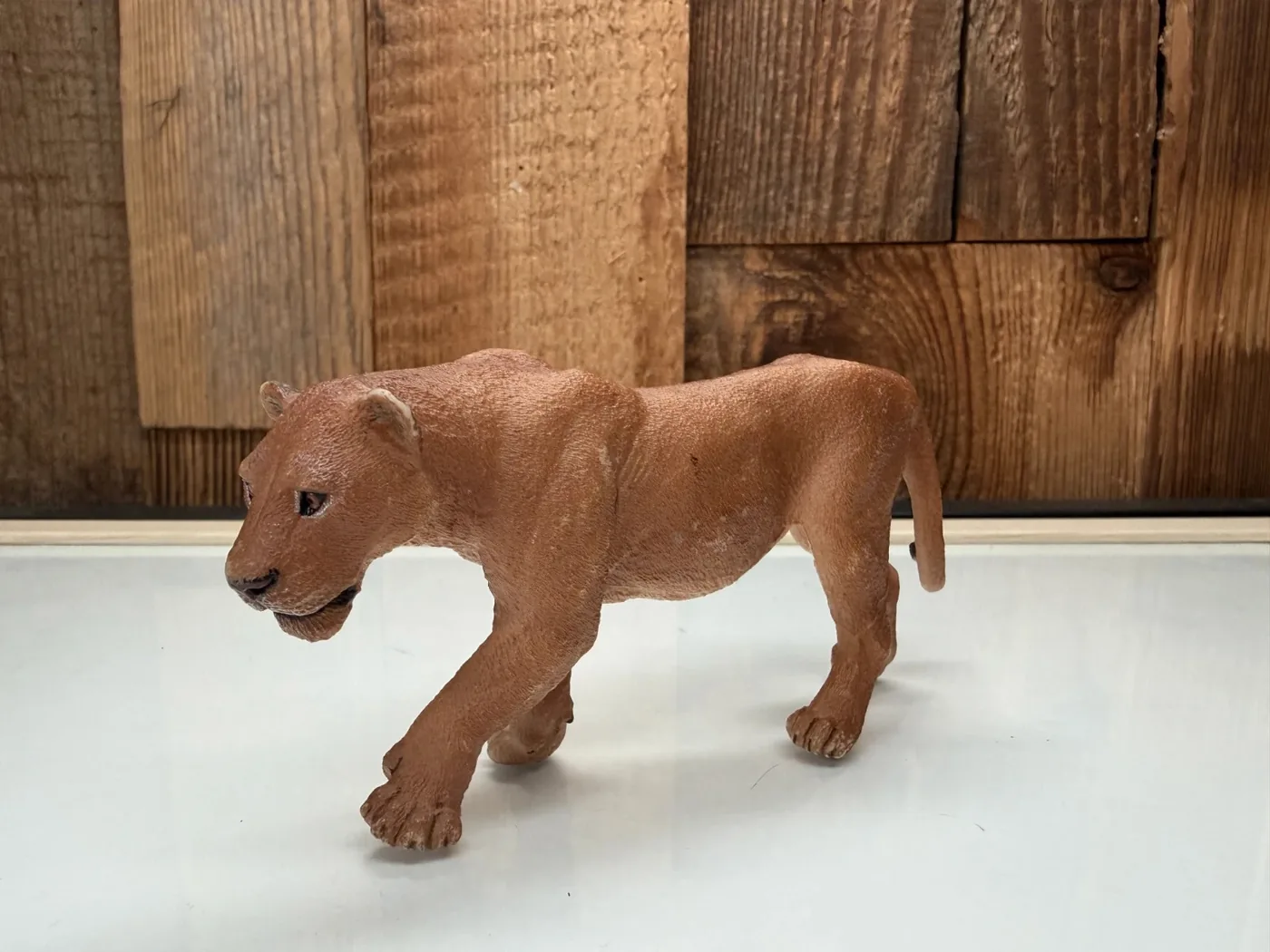 Schleich Leeuwin