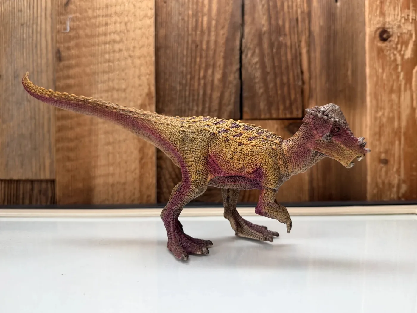 Schleich Dinosaurs Pachycephalosaurus (15024)