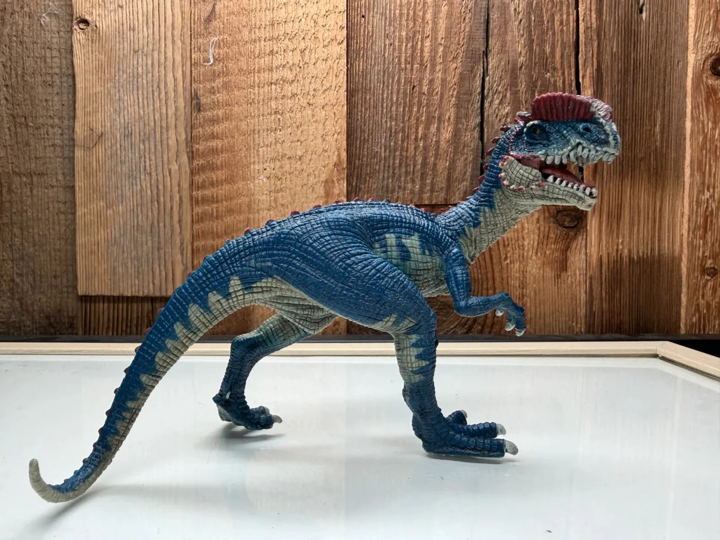 Schleich Dilophosaurus