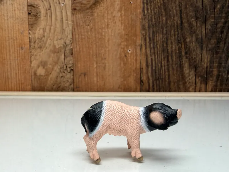 Schleich Farm World Schwabisch Biggetje Zeldzaam (13636)