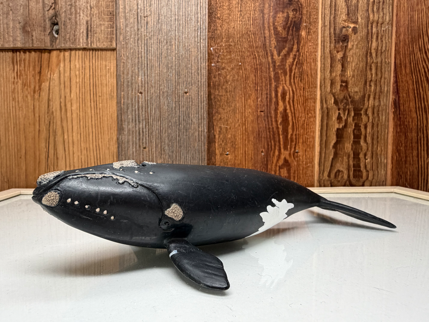 Schleich Noord-Atlantische Walvis