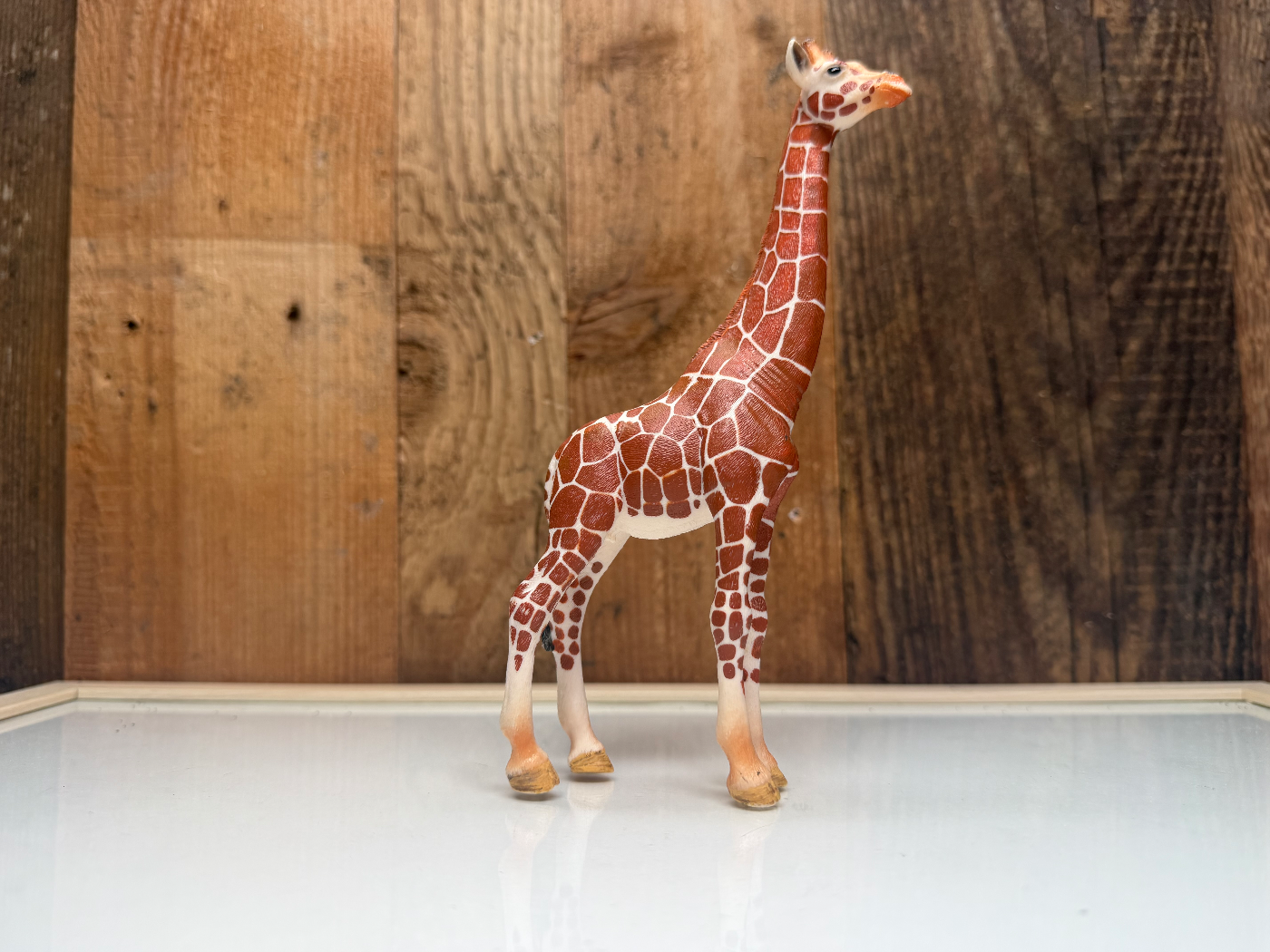 Schleich Wild Life Giraffe Vrouw (14750)