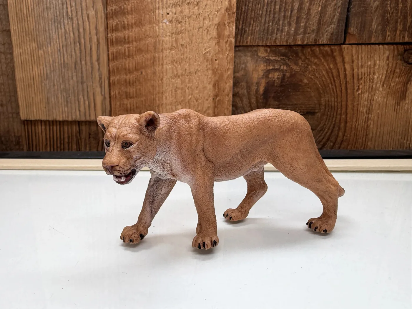 Schleich Wild Life Leeuwin (17026)