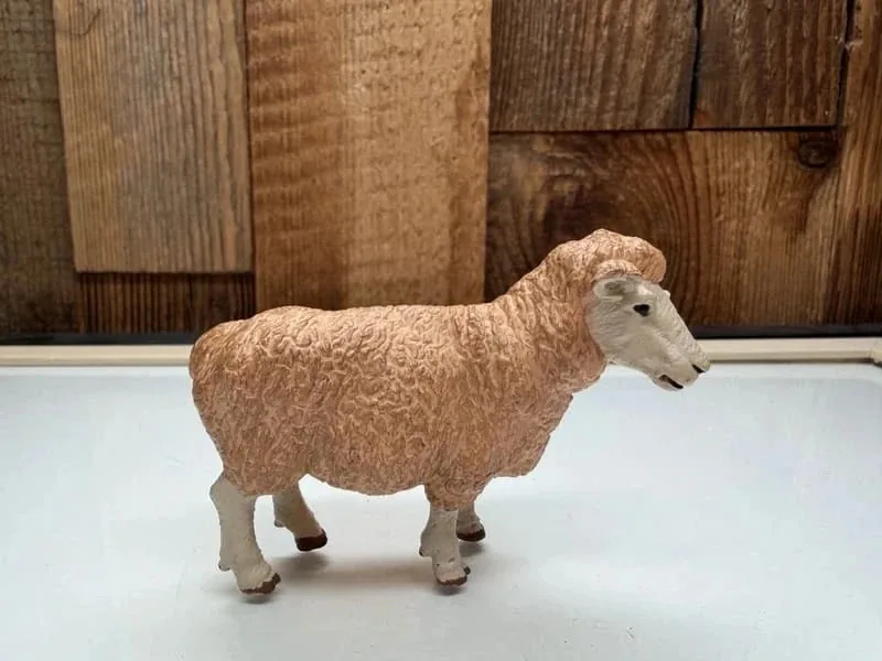 Schleich Schaap