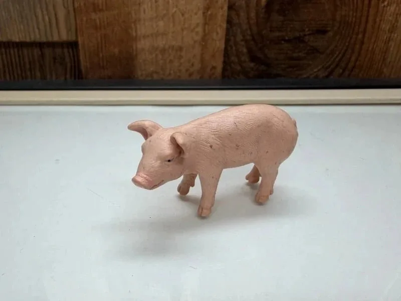Schleich Farm World Biggetje (13289)