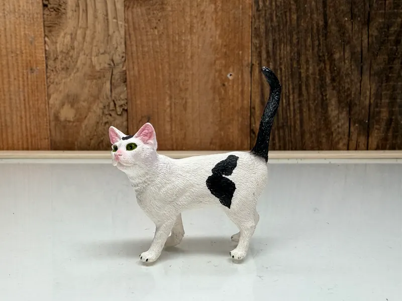Schleich Kat