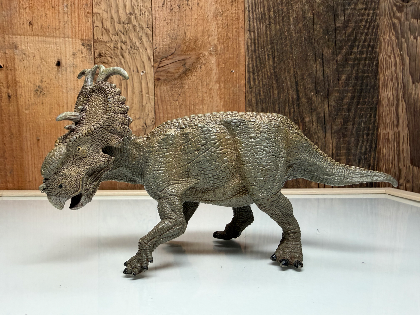 Papo Pachyrhinosaurus