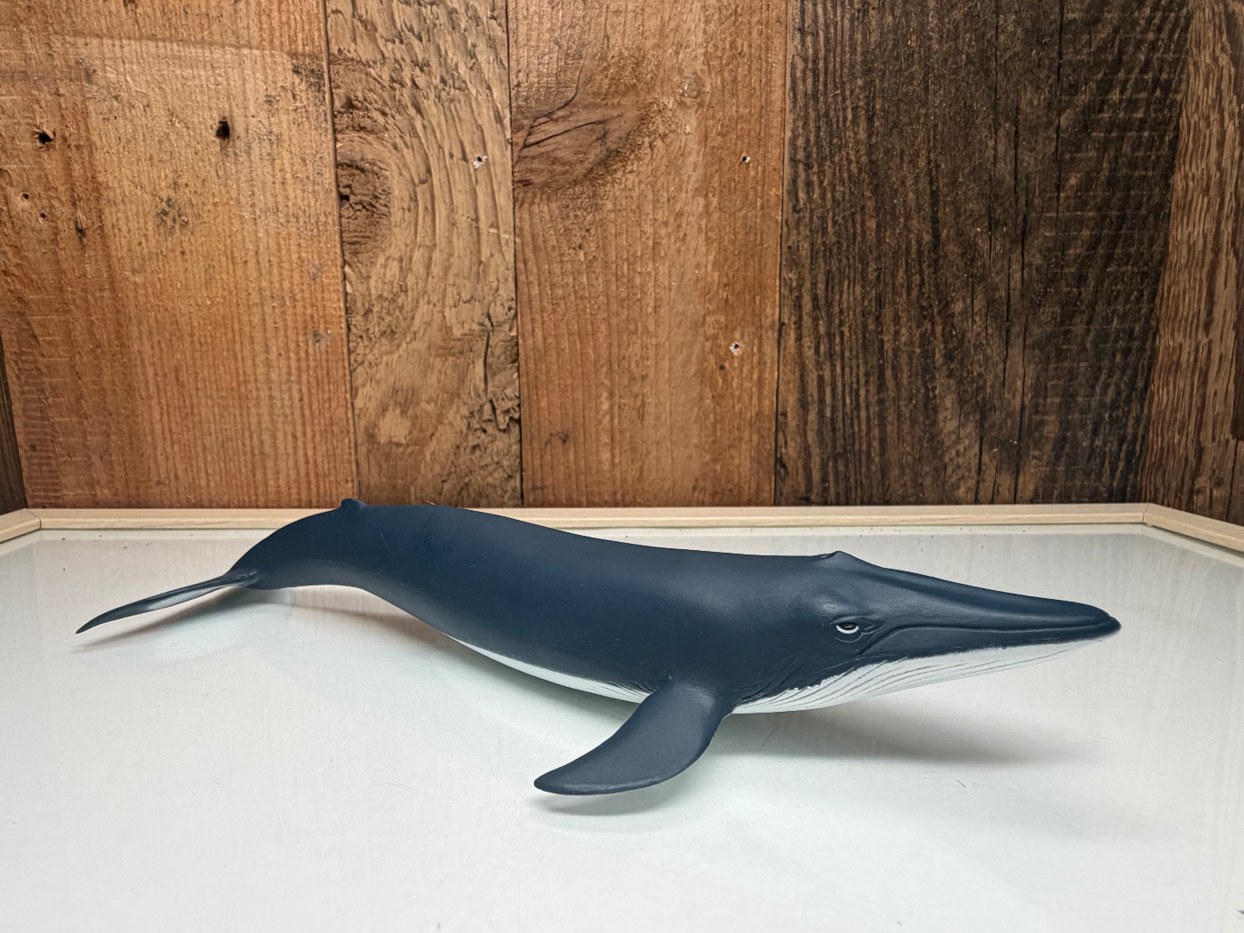 Papo Wild Life Blauwe Vinvis Kalf (56041)