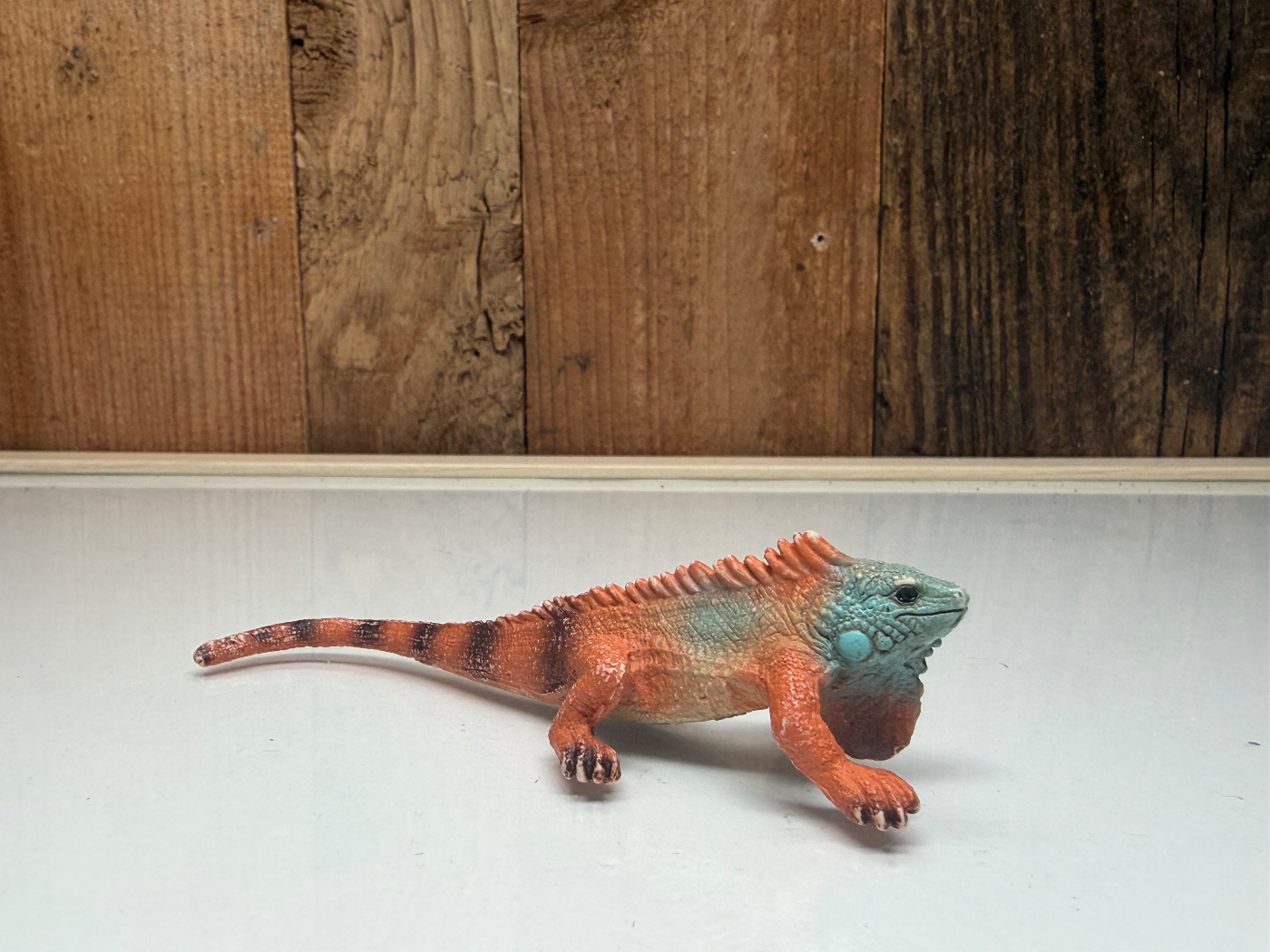Schleich Wild Life Leguaan (14854)