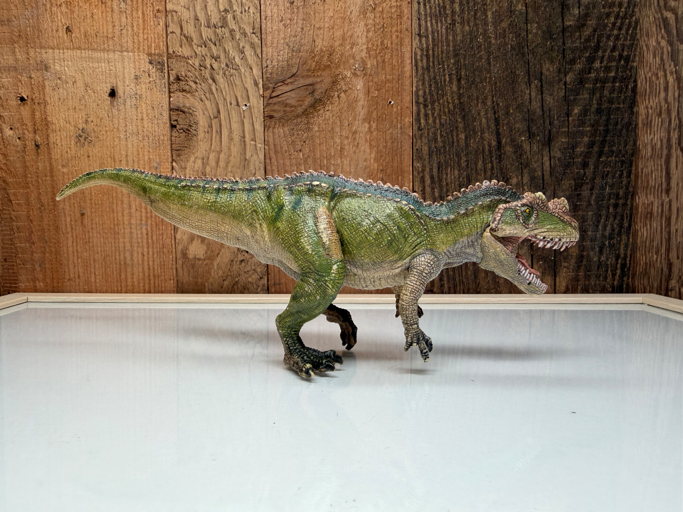 Schleich Dinosaurs Ceratosaurus (55061)