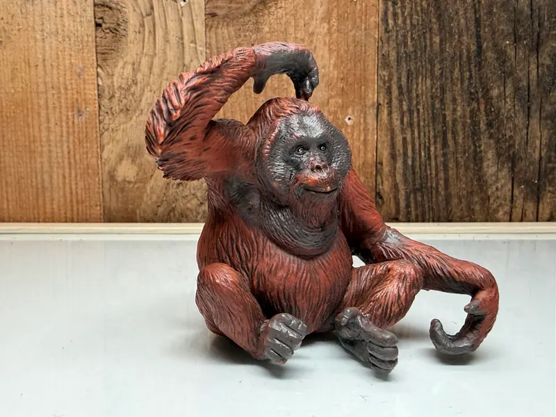 Papo Orang-Oetan