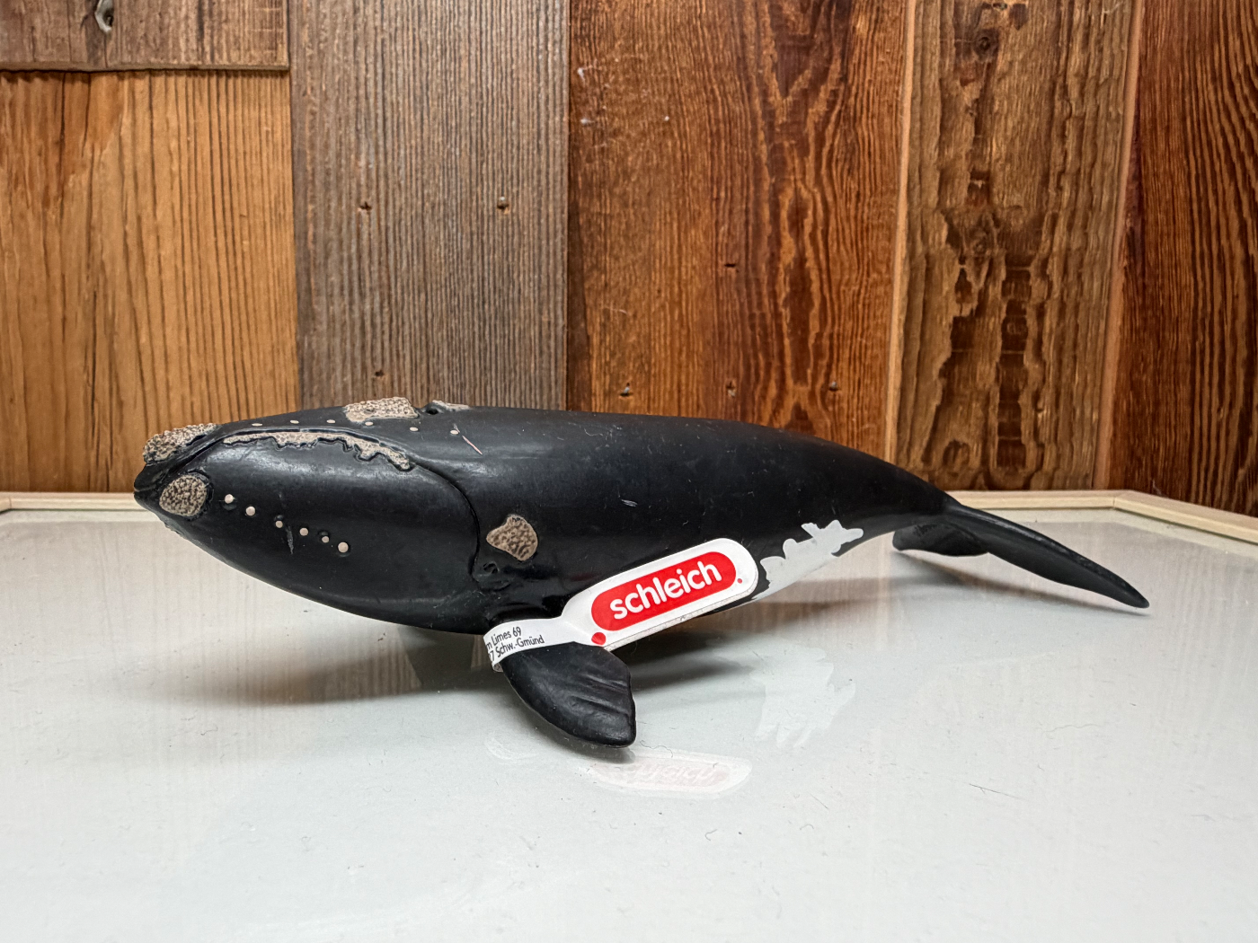 Schleich Noord-Atlantische Walvis