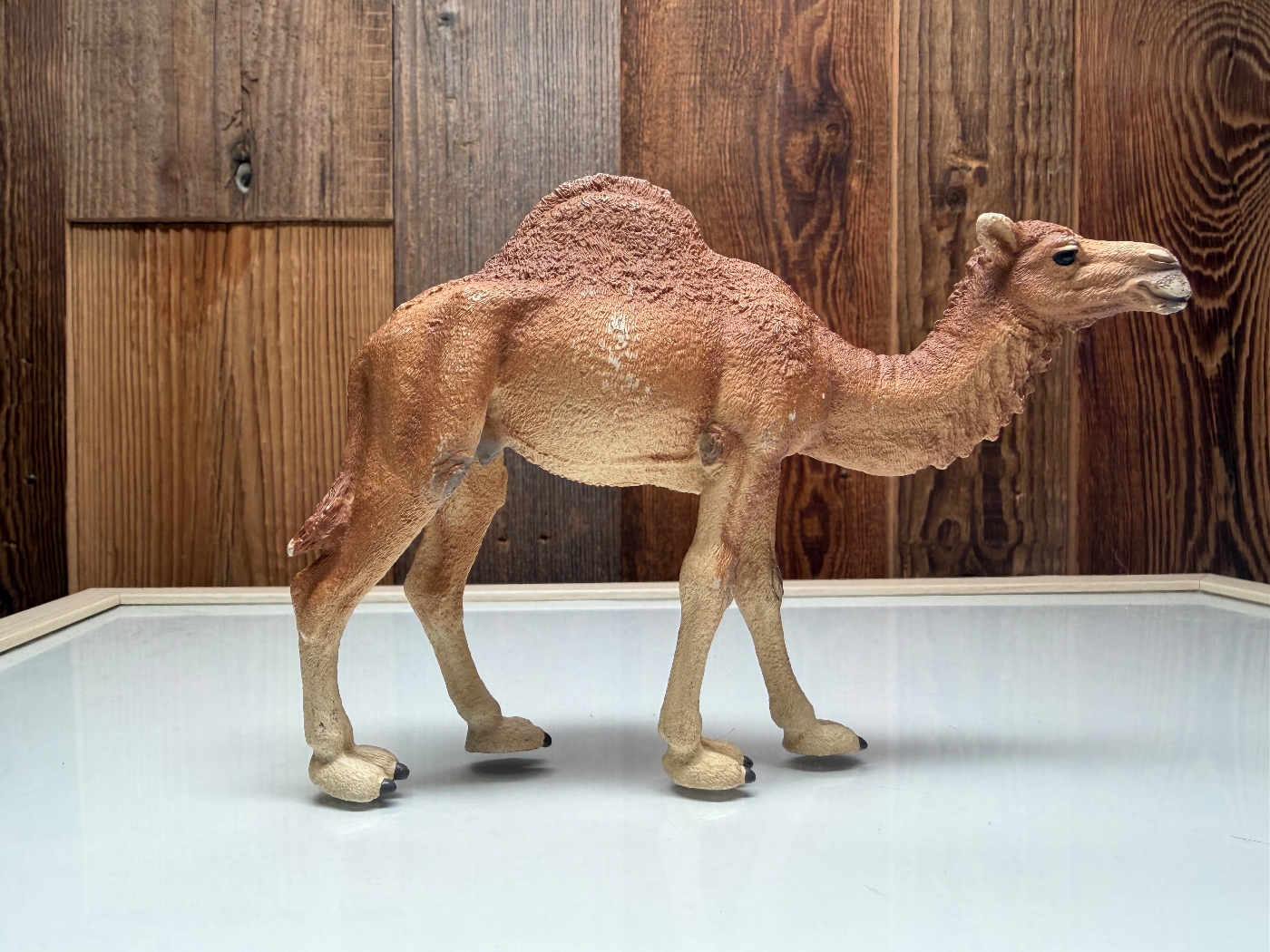 Schleich Wild Life Dromedaris (14832)