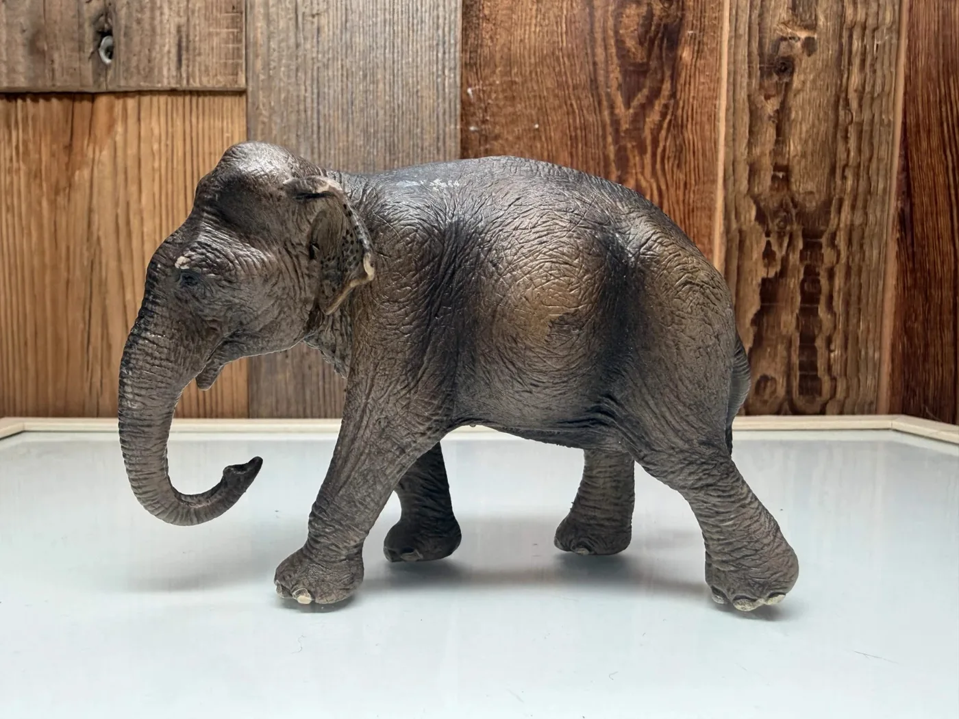 Schleich Aziatische Olifant Vrouwtje