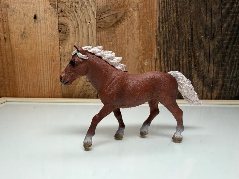 Schleich Horse Club Shetlander Merrie (42481)