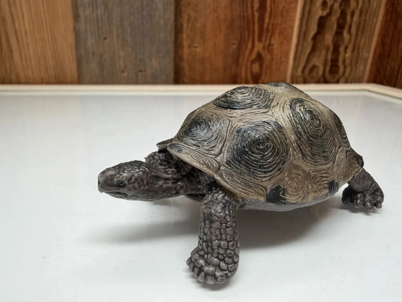 Schleich Reuzenschildpad