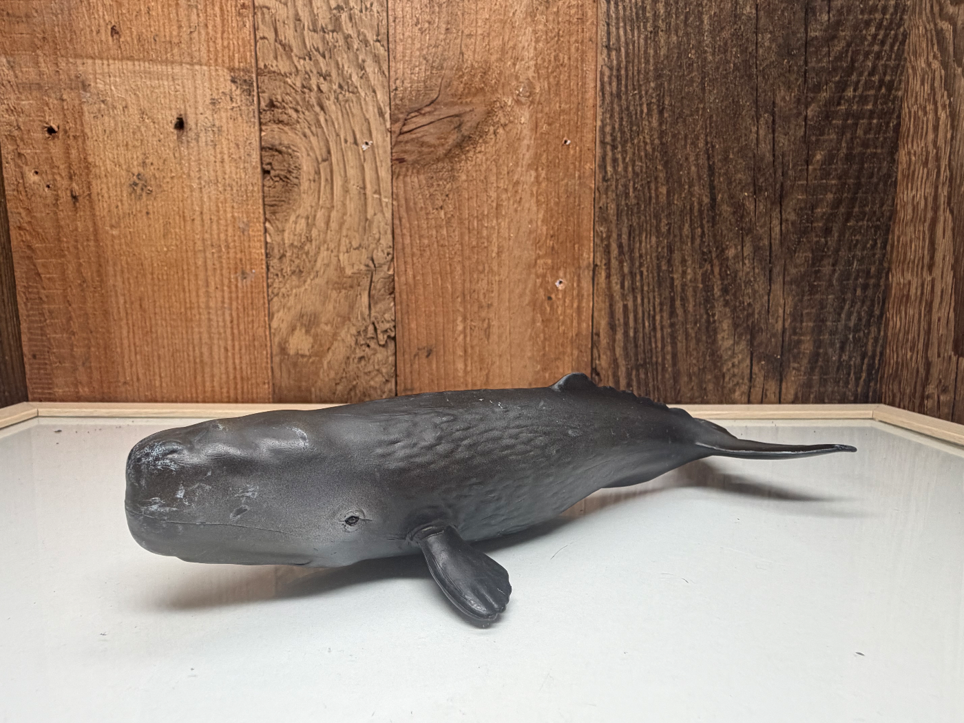 Schleich Wild Life Potvis (16095)