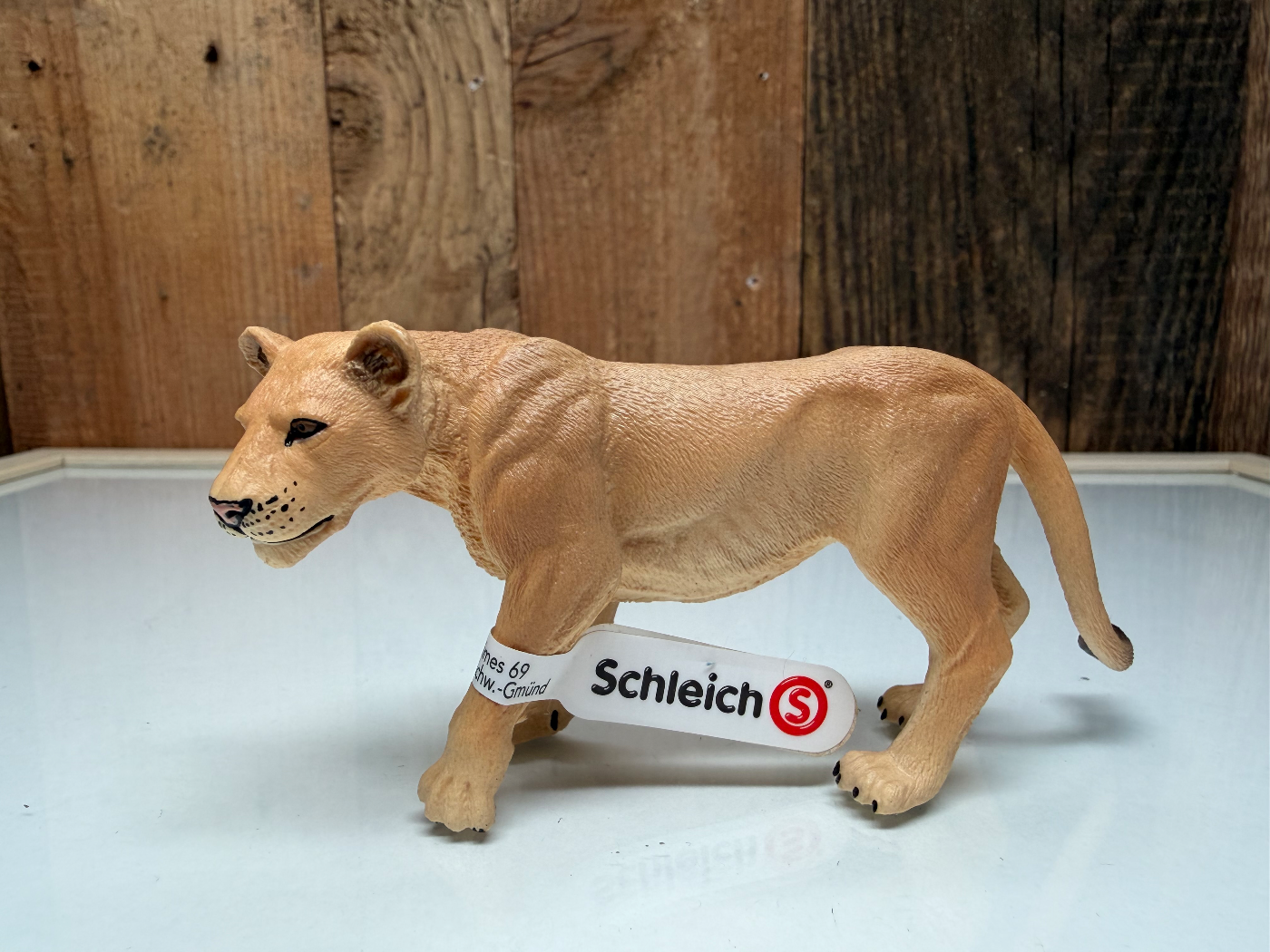 Schleich Wild Life Leeuwin (14825)