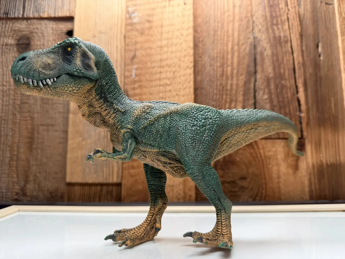 Schleich Tyrannosaurus Rex
